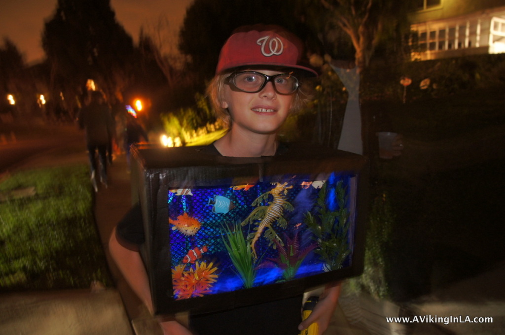 Aquarium costume at night